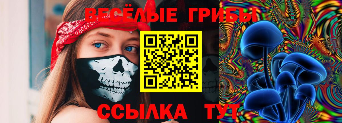 Псилоцибиновые грибы MAGIC MUSHROOMS Чехов